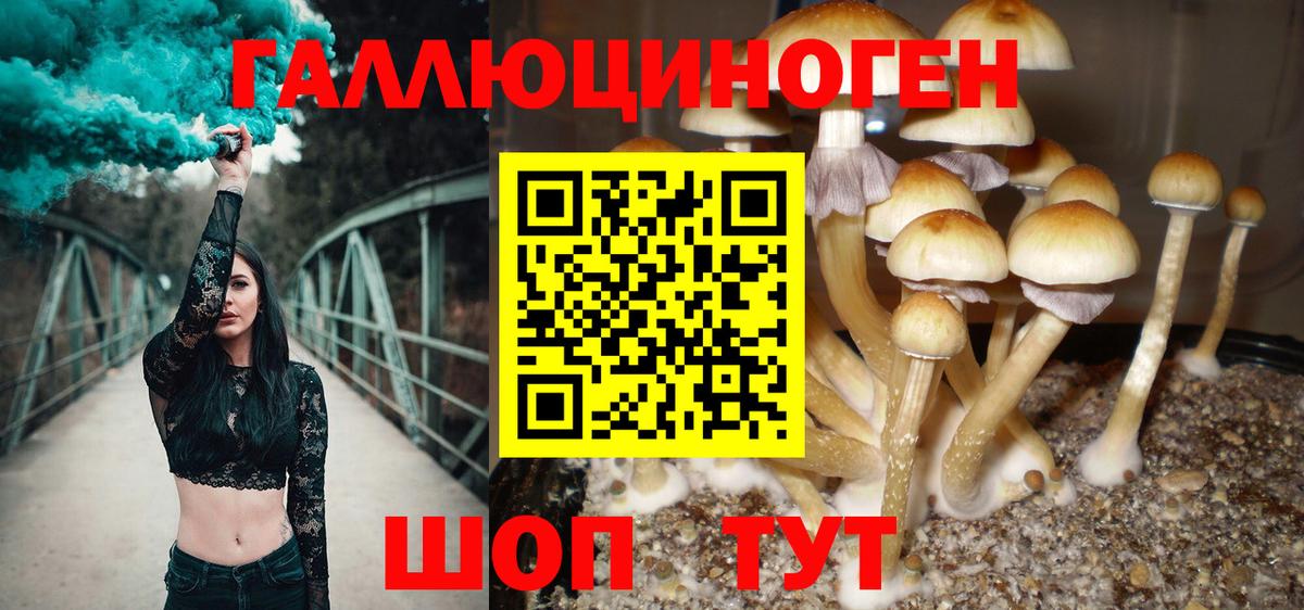 Галлюциногенные грибы Psilocybine cubensis  Вход с VPN  Отрадный  Галлюциногенные грибы мухоморы 